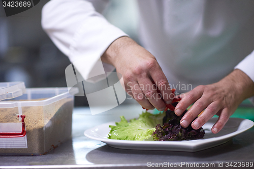 Image of chef in hotel kitchen preparing and decorating food