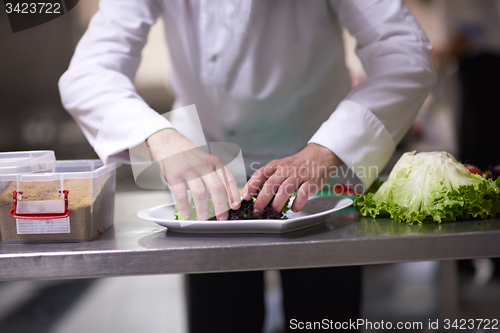 Image of chef in hotel kitchen preparing and decorating food