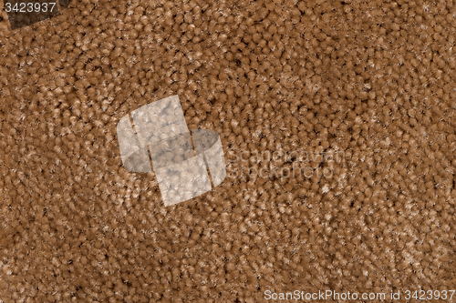 Image of Brown carpet