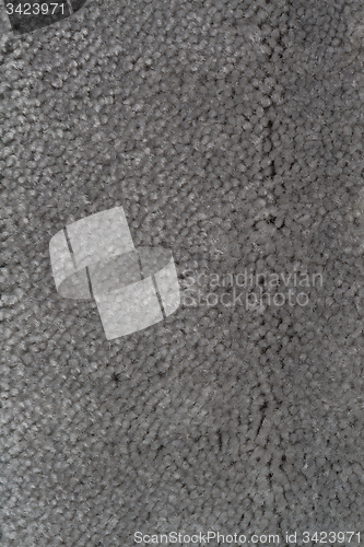 Image of Grey carpet