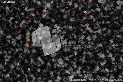 Image of Black carpet