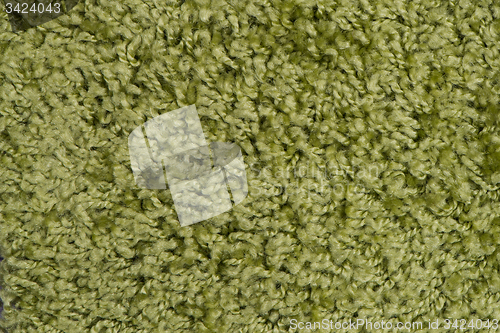 Image of Green carpet or mat 