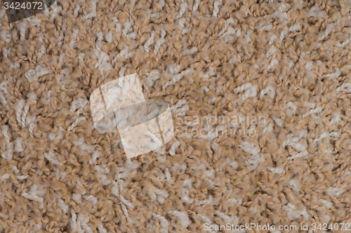 Image of Brown carpet