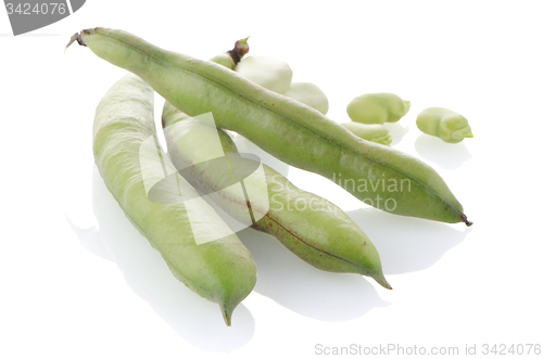 Image of Green beans