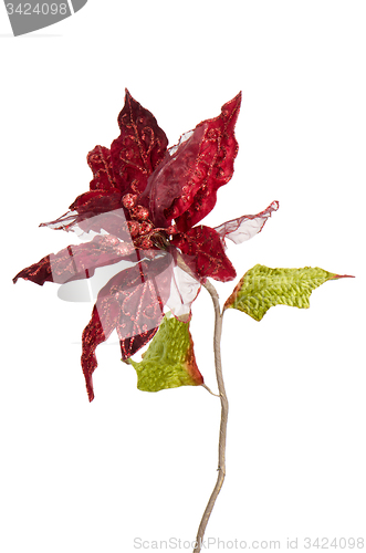 Image of Red Christmas decoration