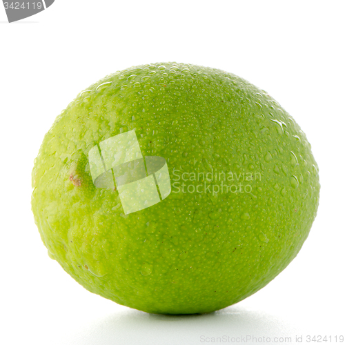 Image of Fresh green lime