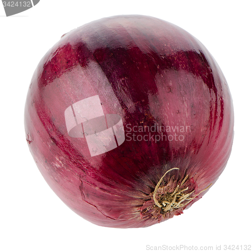 Image of Red onion