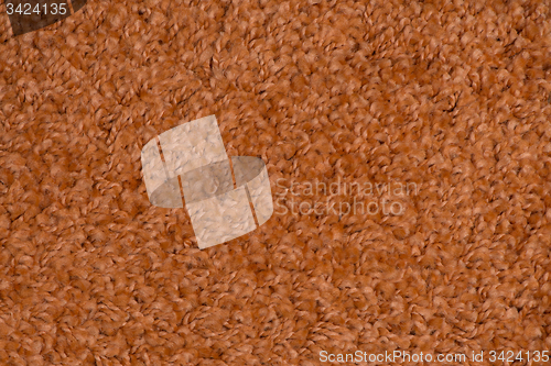 Image of Brown carpet