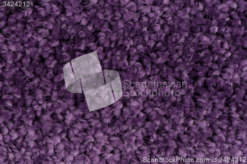 Image of Purple carpet