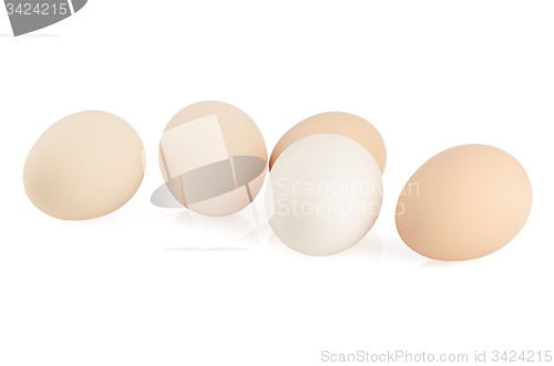 Image of Five eggs 