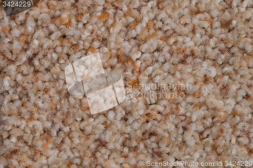 Image of Brown carpet