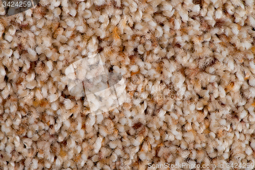 Image of Brown carpet