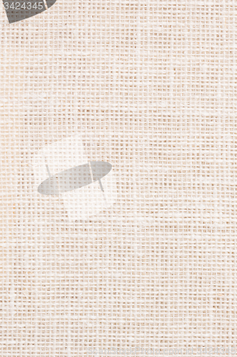 Image of Beige canvas texture 