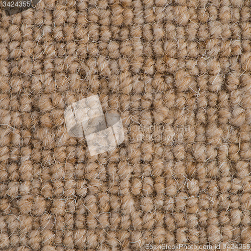 Image of Brown carpet