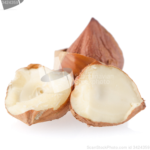 Image of Tasty hazelnuts