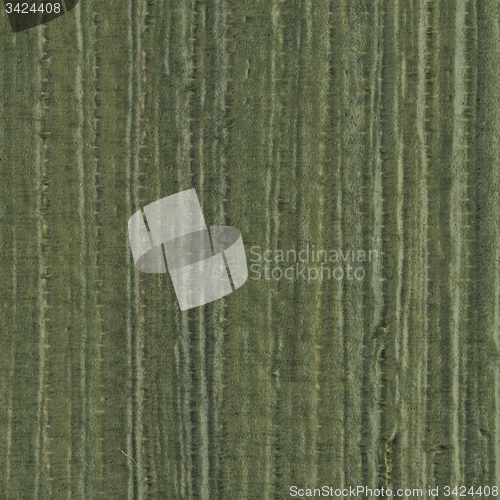 Image of Green vinyl texture