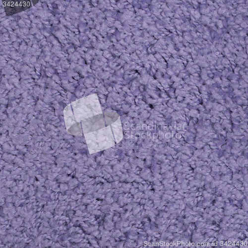 Image of Purple carpet