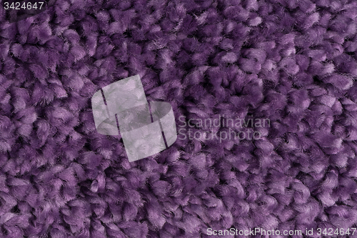 Image of Purple carpet