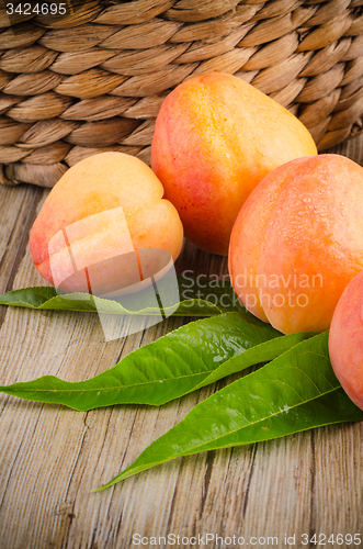 Image of Apricots