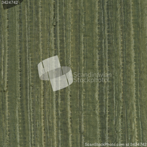 Image of Green vinyl texture