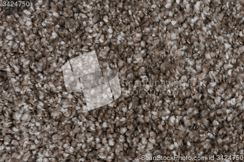 Image of Brown carpet