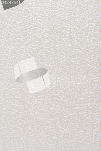 Image of White leather texture closeup