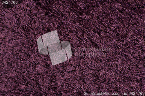 Image of Purple carpet