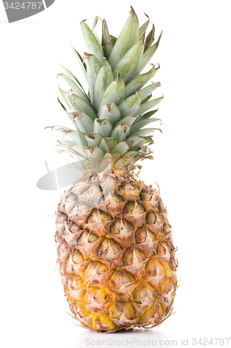 Image of Pineapple