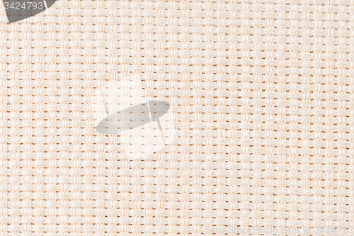 Image of Beige canvas texture 