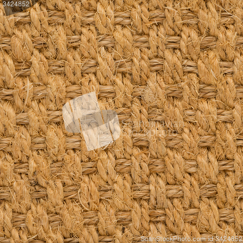 Image of Sisal carpet 