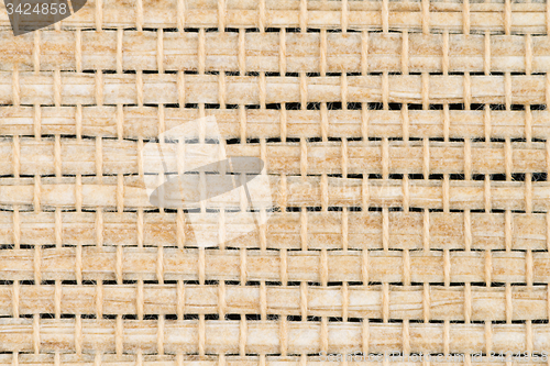 Image of Bamboo texture background