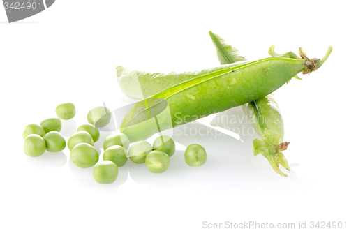 Image of Fresh green pea pod