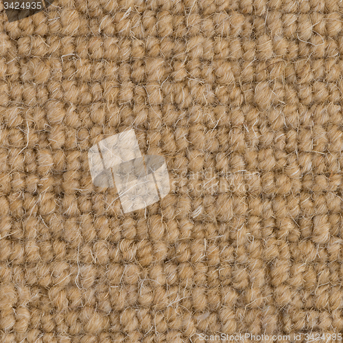 Image of Brown carpet