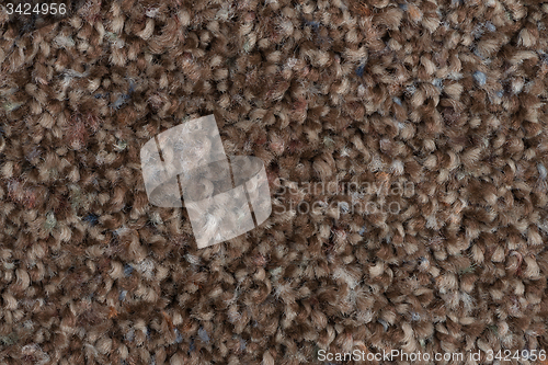 Image of Brown carpet