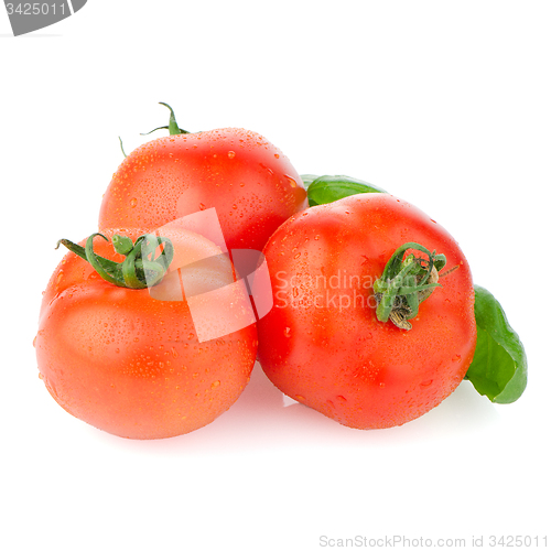 Image of Red ripe tomato