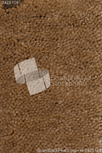 Image of Brown carpet