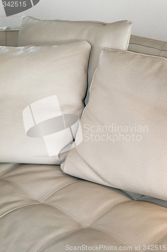 Image of Leather pillows