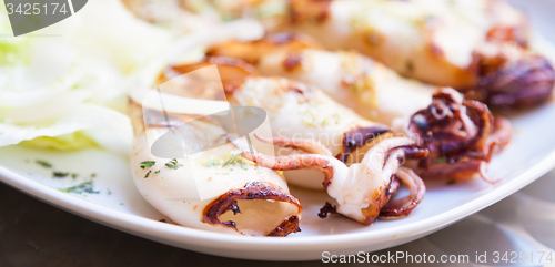 Image of Italian Calamari