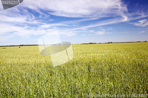 Image of agricultural field  