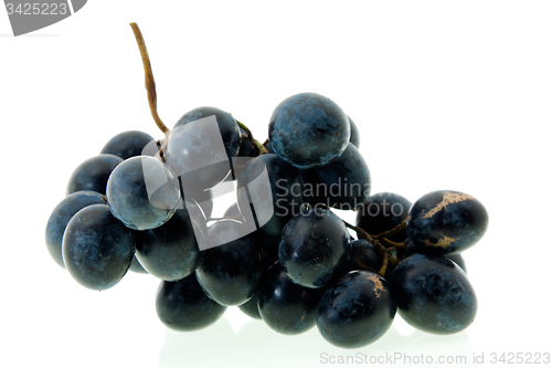 Image of   black grape 