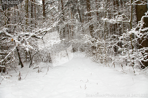 Image of the road in winter