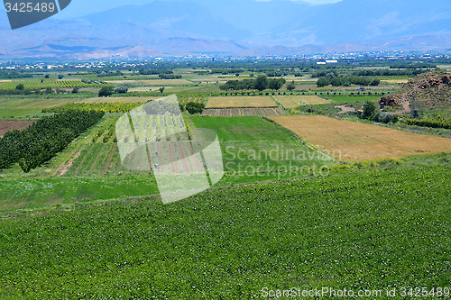 Image of Fields and grapes in a mountain valley