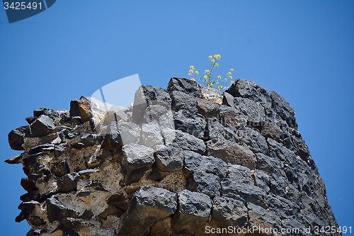 Image of Part of the ruined wall,