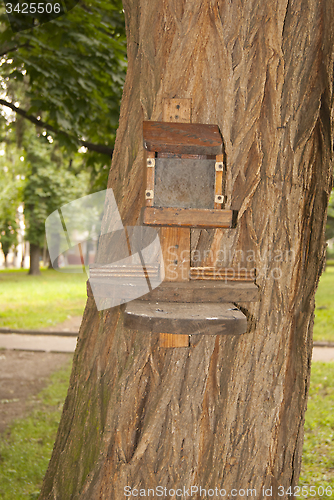 Image of wooden bird feeder on the tree trunk