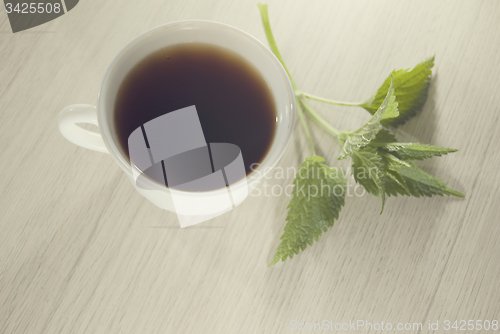 Image of cup of nettle tea with fresh nettle