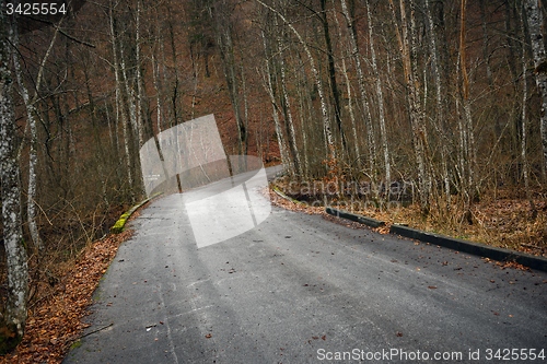 Image of Road in autumn forest landscape