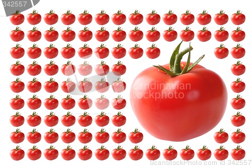 Image of Food, Vegetables, Tomato