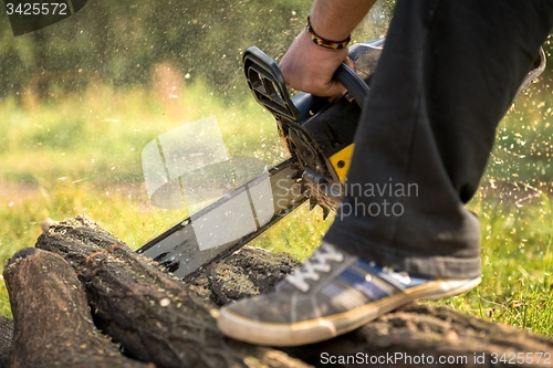 Image of Gasoline powered professional chainsaw