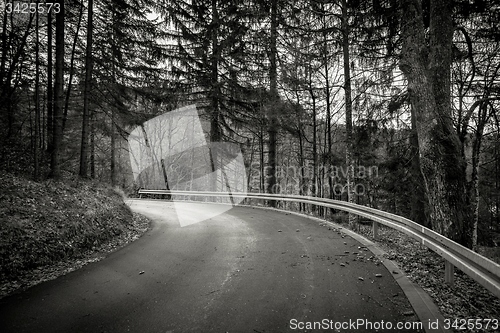 Image of Road in autumn forest landscape