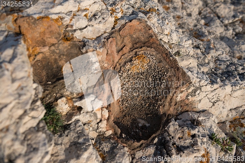 Image of Aged rock texture background 